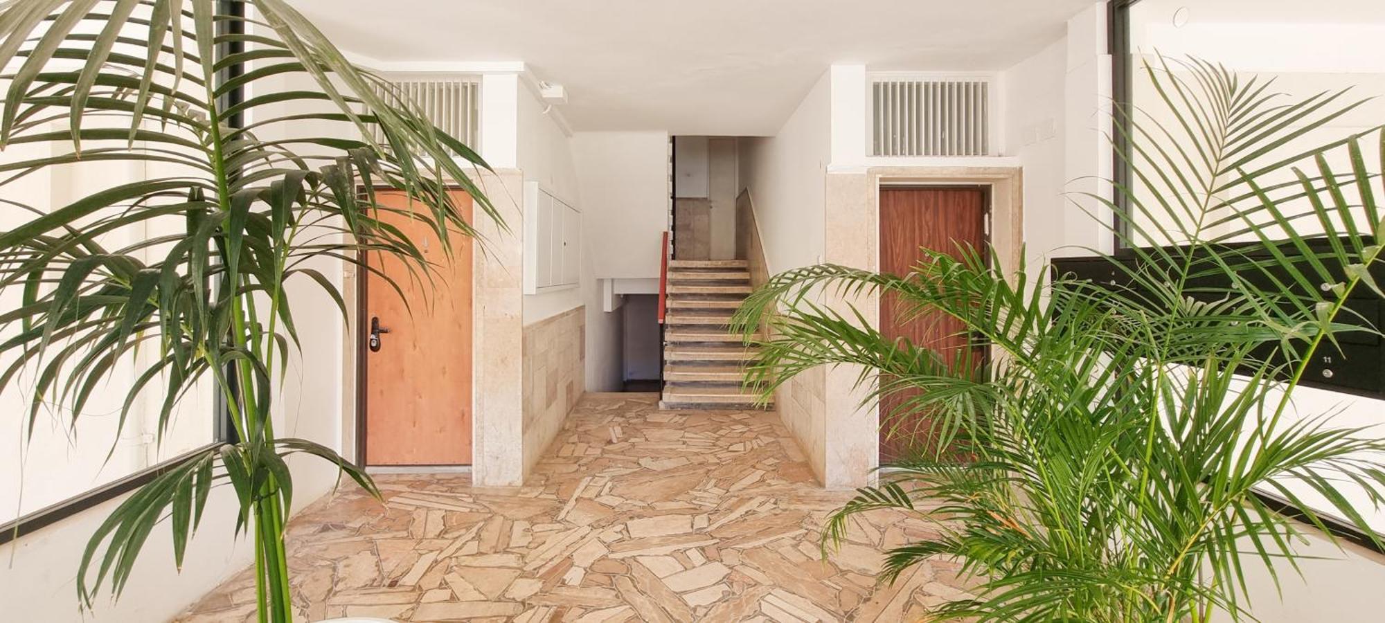 Bnb Israel Apartments - Harav Kook Lilas Tel Aviv Esterno foto